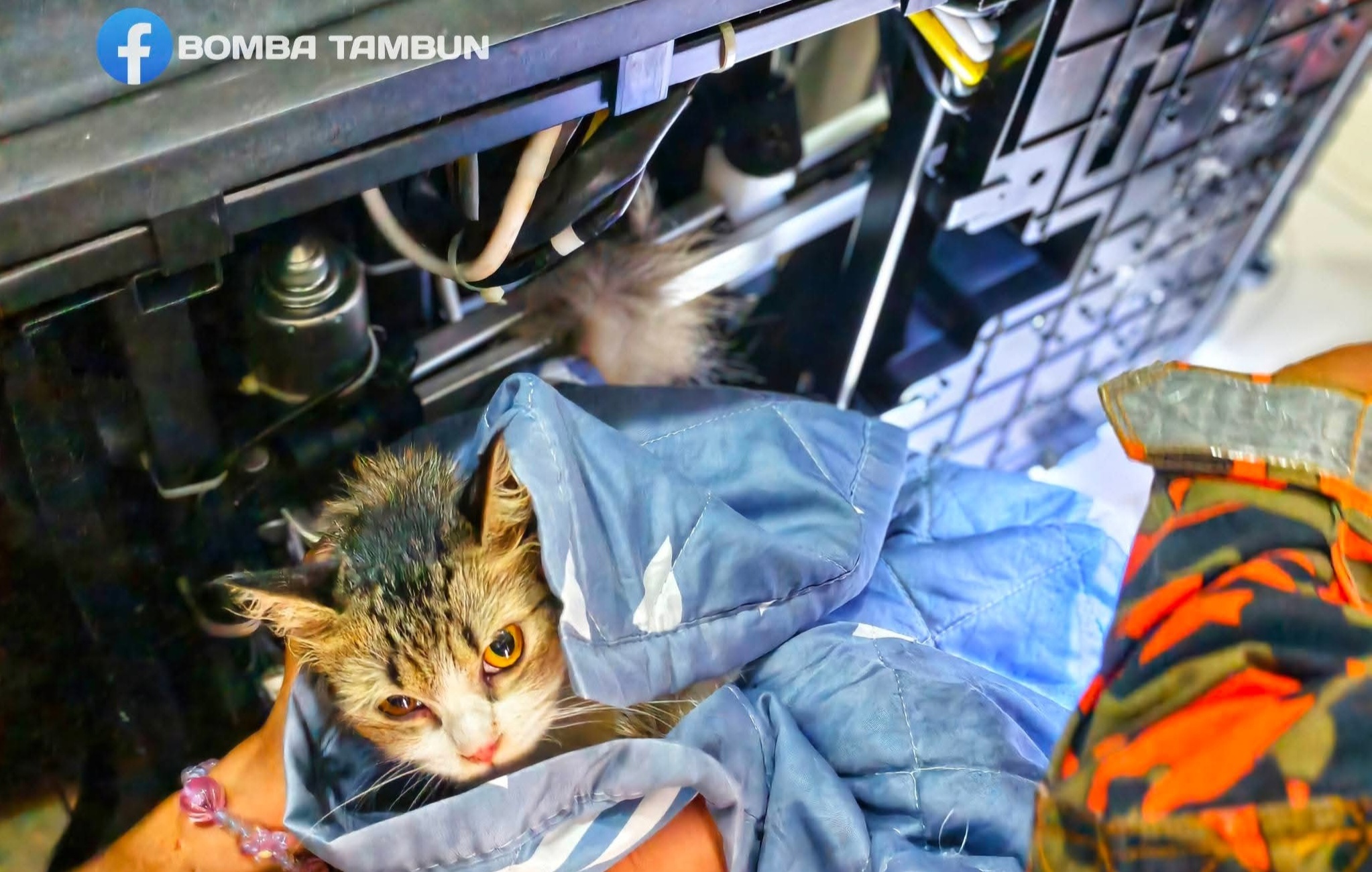 Tersepit pada spring kerusi urut, kucing diselamatkan bomba