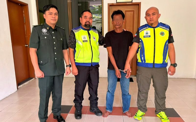 Lelaki dipenjara 18 bulan, didenda RM50,000 miliki 490 telur penyu