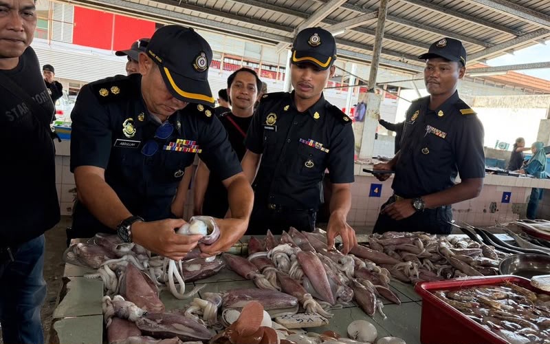 KPDN Sabah siasat isu sotong tular, dakwaan campur ikan dalam jualan tidak disengajakan