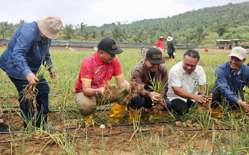 7,387 pesawah Selangor terima RM500 sehektar, nelayan nikmati subsidi bahan api RM1,800