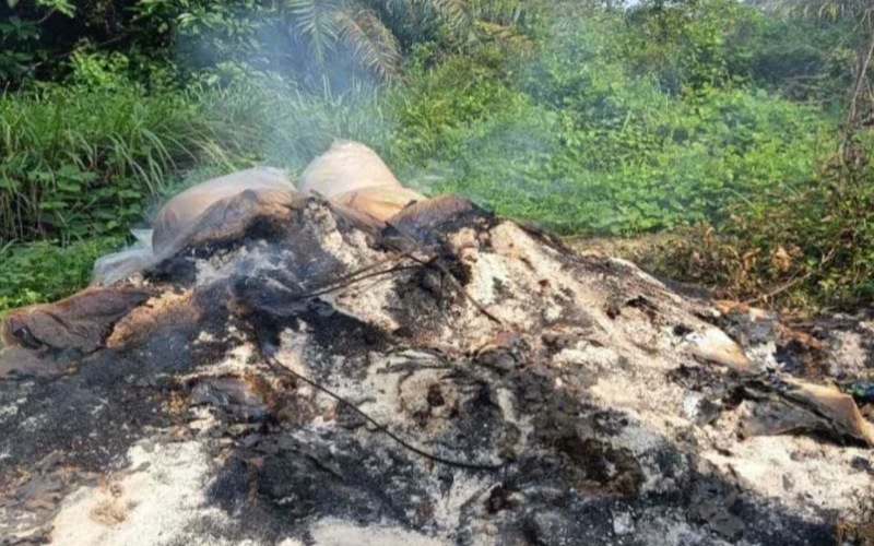 JAS kenal pasti punca pembakaran haram dalam ladang di Padang Serai