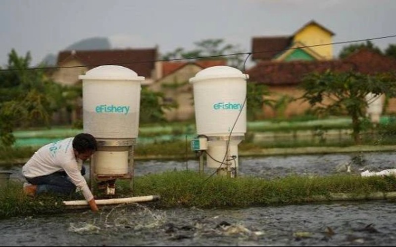 Isu eFishery: Salahkan kerajaan sahaja tidak tepati realiti pelaburan global