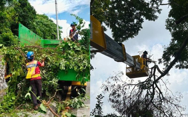 DBKL perhebat mitigasi pokok, utamakan keselamatan warga kota