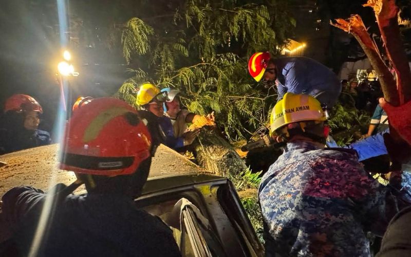 Lelaki maut dihempap pokok tumbang di Jalan Tun Razak, tujuh lagi cedera