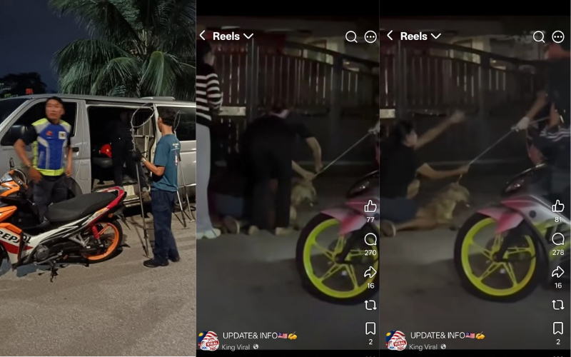 Anjing viral mati, polis buka kertas siasatan khianat dengan membunuh haiwan
