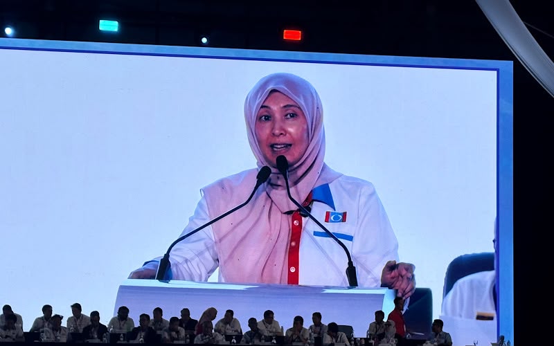Teruskan agenda reformasi, jangan mudah terpengaruh naratif lawan – Nurul Izzah