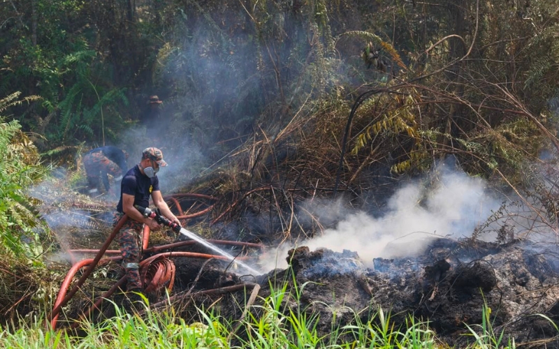 Kebakaran terbuka menurun, JBPM Sarawak tumpu tiga kebakaran hutan berskala besar