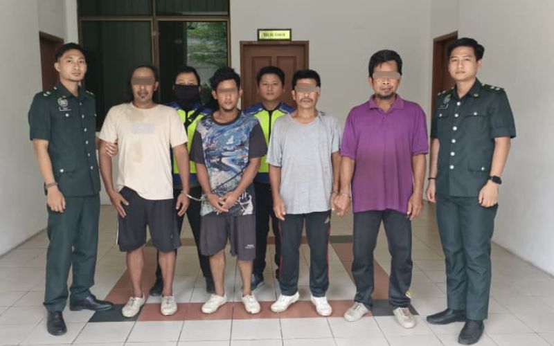 Empat lelaki dipenjara lapan bulan kerana tebang pokok, ceroboh Santuari Hidupan Liar Kinabatangan