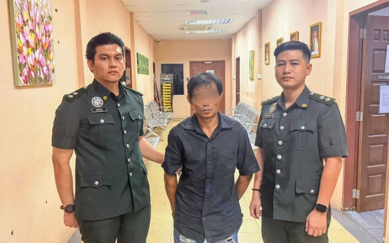Padah simpan tenggiling, beruk, lelaki dipenjara 60 bulan