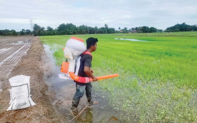 SPRM buka kertas siasatan isu kelewatan agihan baja di Kedah
