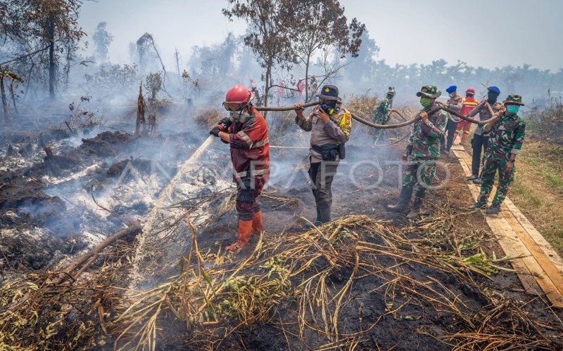 Indonesia perhebat operasi tangani krisis kebakaran hutan, 138 suspek ditahan
