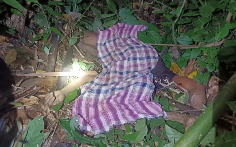 Lelaki Orang Asli maut diserang harimau ketika mencari rotan