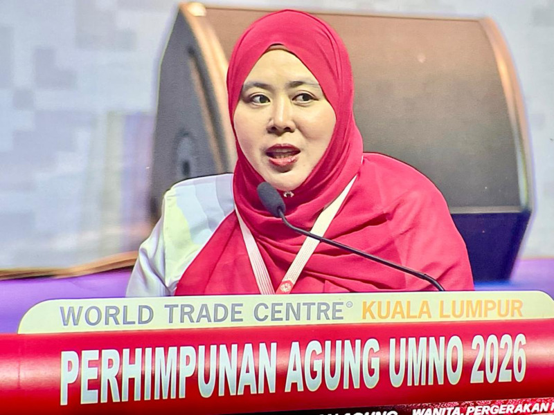 Kerjasama dengan PH bukan tiket kuasa pengampunan Agong boleh disentuh
