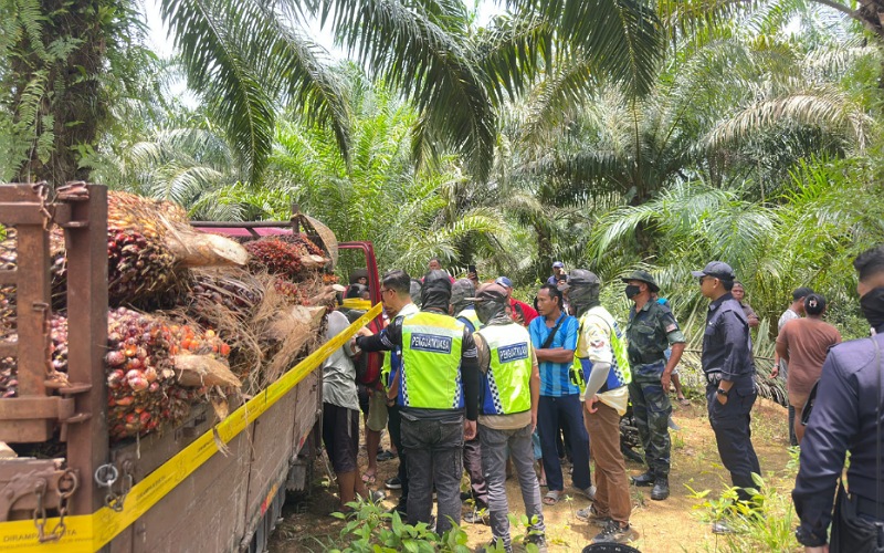 2 Orang Asli direman ganggu penjawat awam laksana tugas dekat Tasek Bera