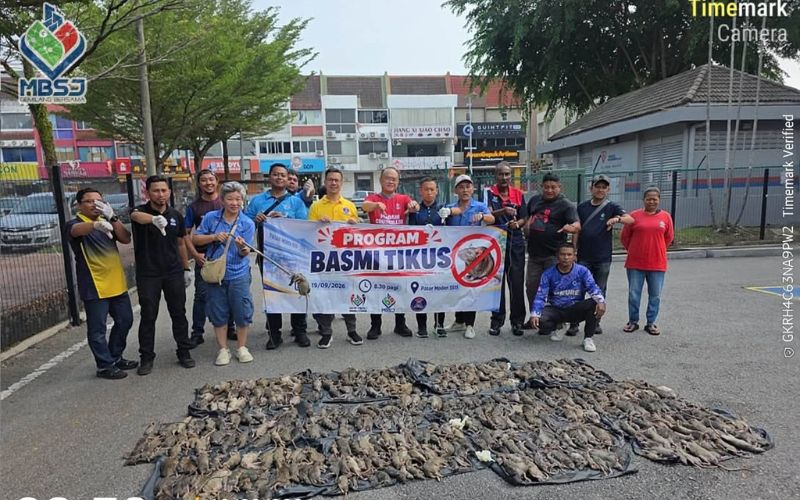 MBSJ kutip 426 bangkai tikus selepas operasi racun
