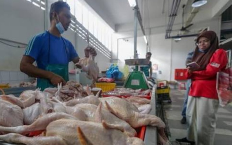 Kenaikan SARA bukan gula-gula pilihan raya, bukti kerajaan dengar keluhan rakyat